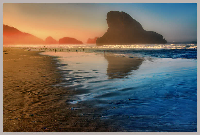 Oregon Coast 3571